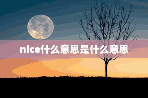 nice什么意思是什么意思